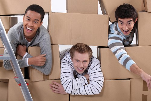 Team of skilled house removalists organizing a move