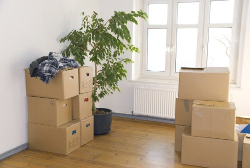 Happy homeowners celebrating a successful move